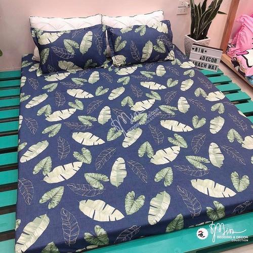 Sỉ Bộ Chăn Hè Ga Gối Kèm Vỏ Gối Ôm set 5 món Sally Mẫu LÁ CHUỐI XANH