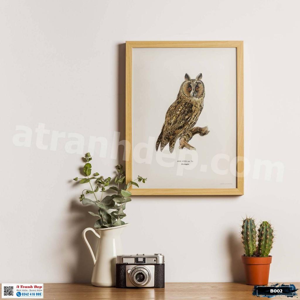 Tranh Canvas minh họa loài chim cú lửa phong cách cổ điển - B002