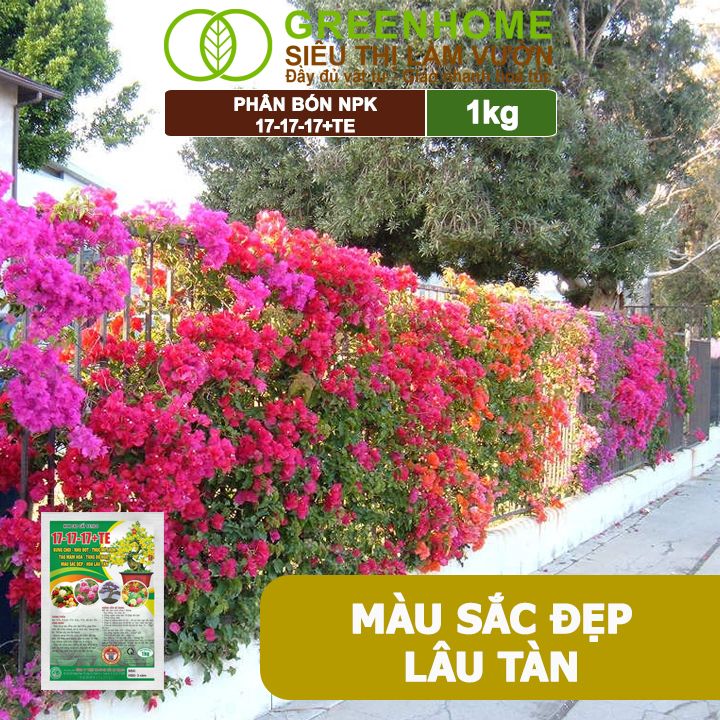 Phân Bón NPK 17-17-17+TE, Greenhome, Gói 1kg, Bung Chồi Đọt, Thúc Nút Kim, Tạo Mầm Dưỡng Hoa