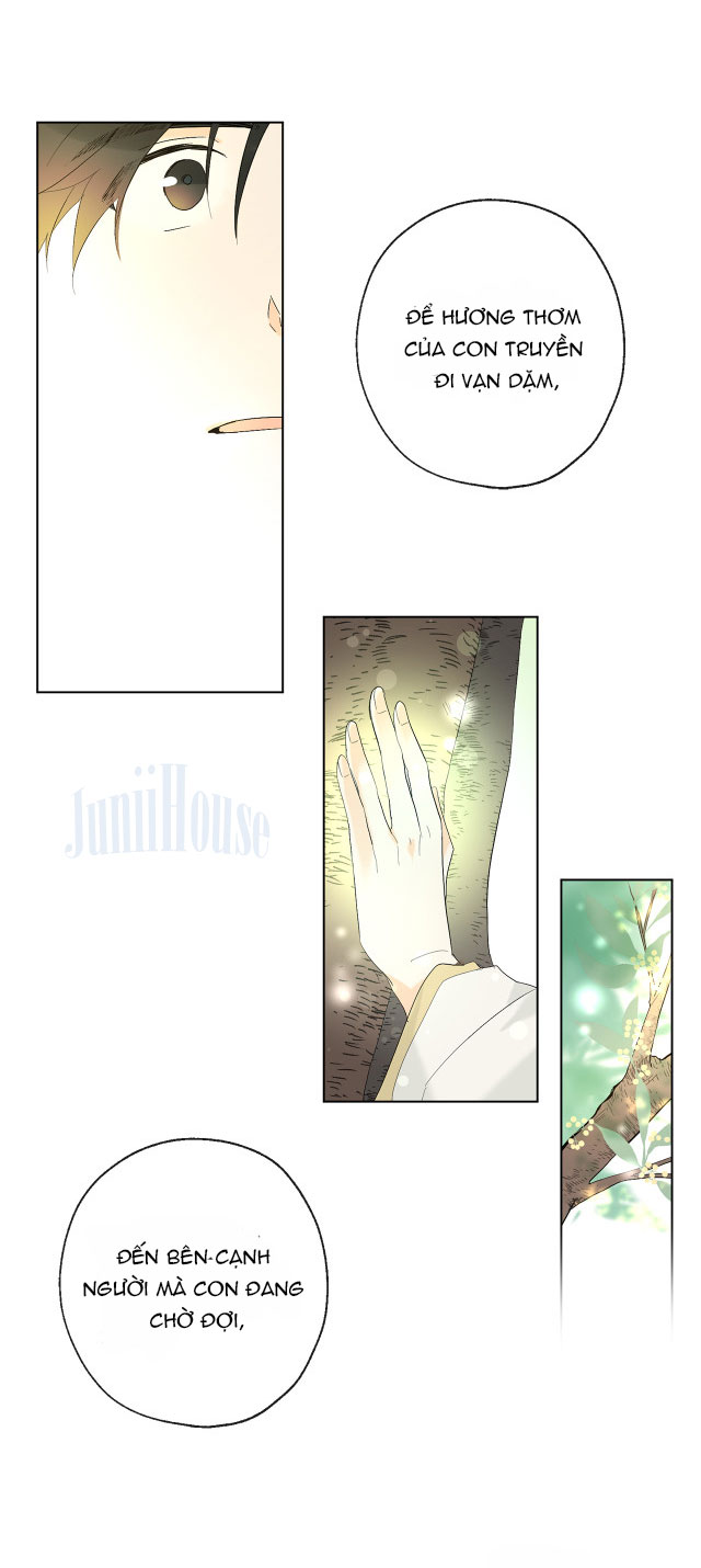 sơn thần đại nhân vẫn nhớ tôi chapter 7 25