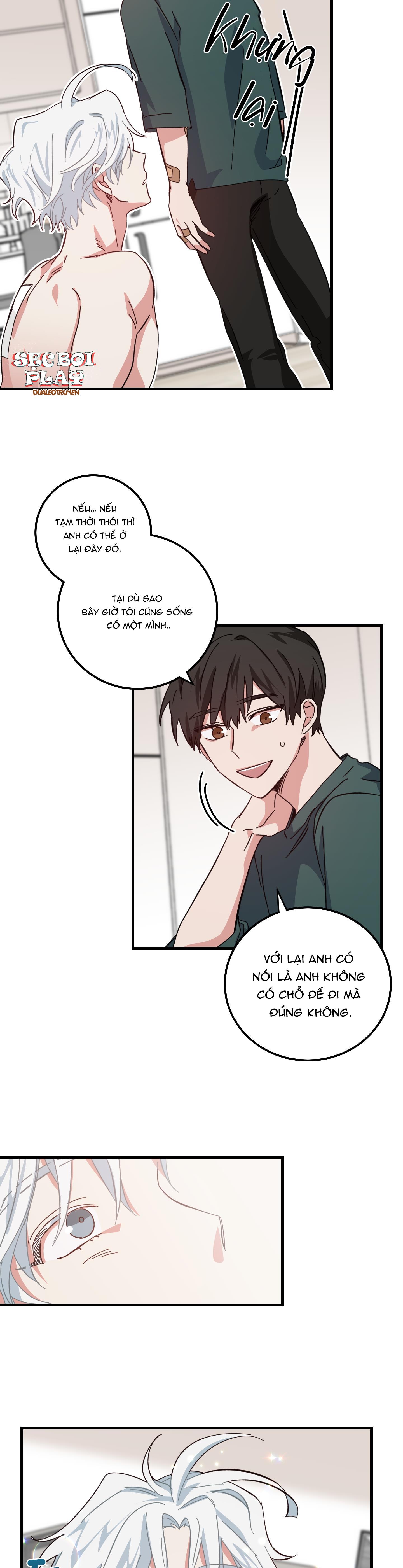 yêu tôi đi, thần hộ mệnh chapter 4 6