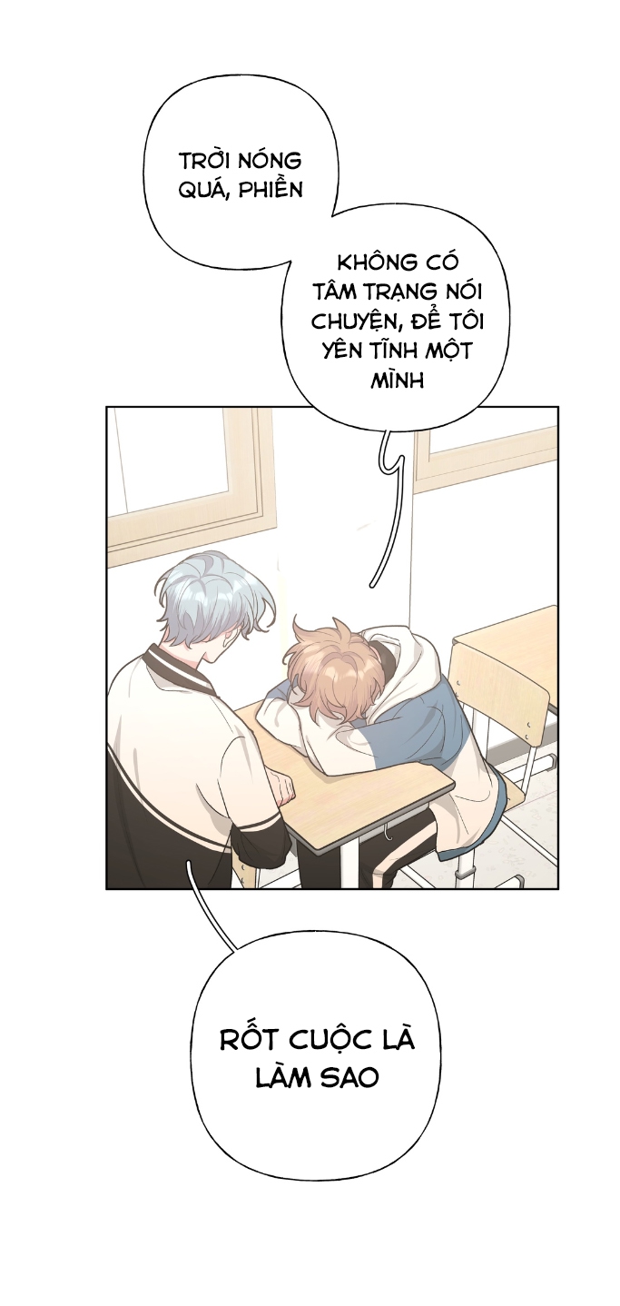 đừng nói yêu tôi (don't say you love me) chapter 12 23