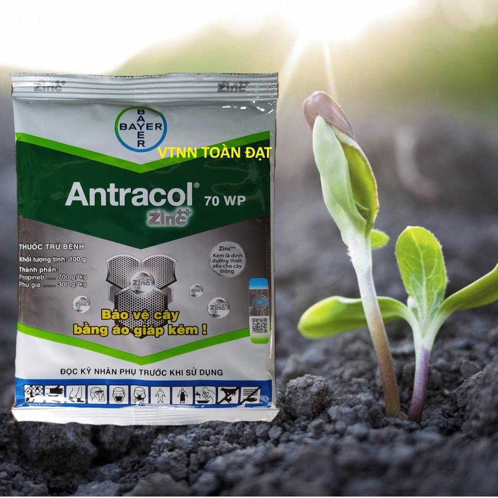 SẢN PHẨM TRỪ BỆNH CÂY ANTRACOL 70 WP, TRỪ NẤP BỆNH ,BẢO VỆ CÂY TRỒNG GÓI 100 GR