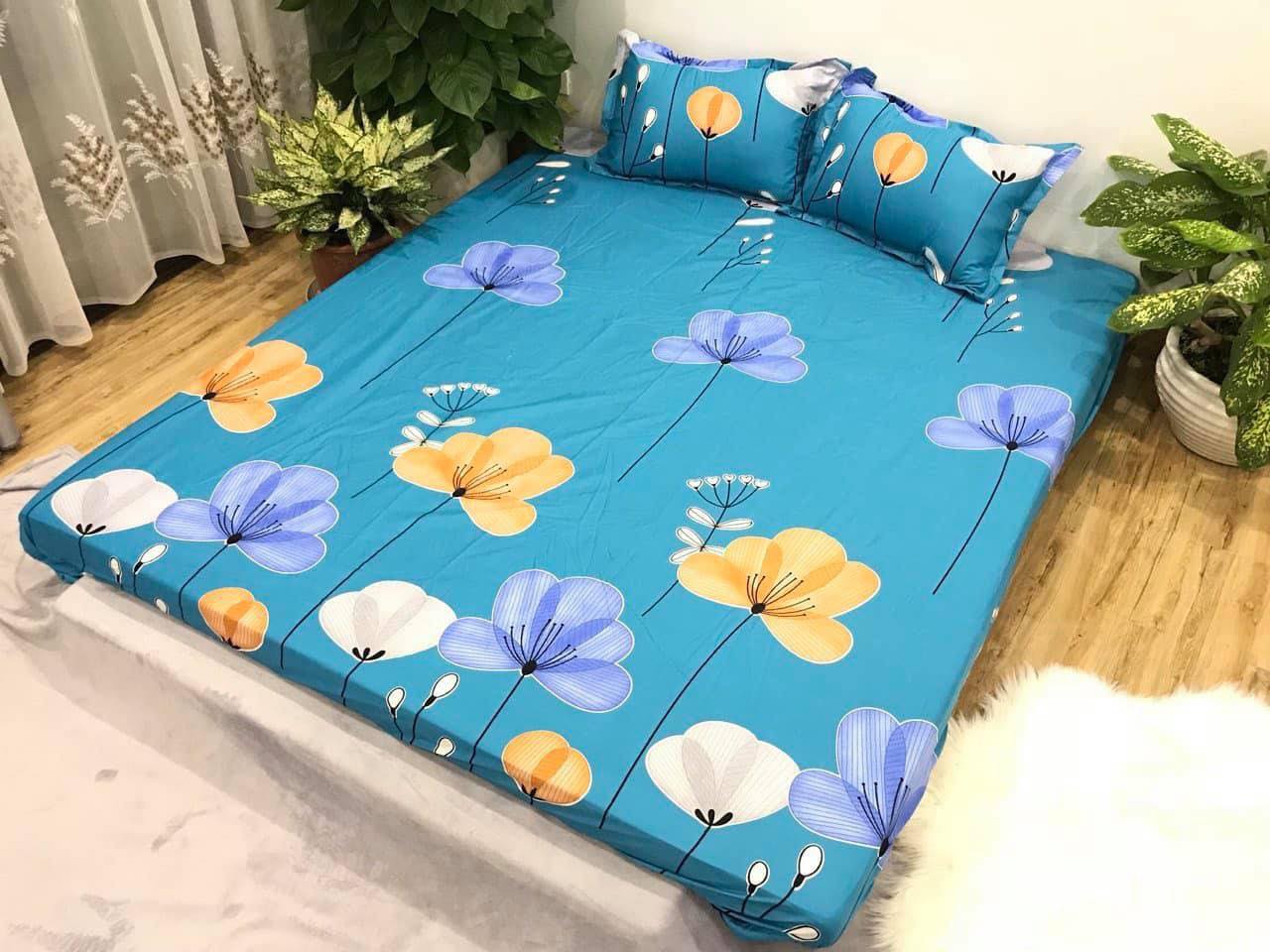 Set 5 món chăn hè ga chun Cotton Poly - Quạt Xanh - Tặng kèm 1 móc khóa Houston