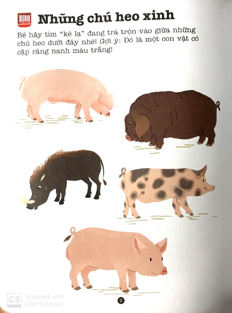 Trò Chơi Phát Triển Trí Tuệ: Vườn Bách Thú