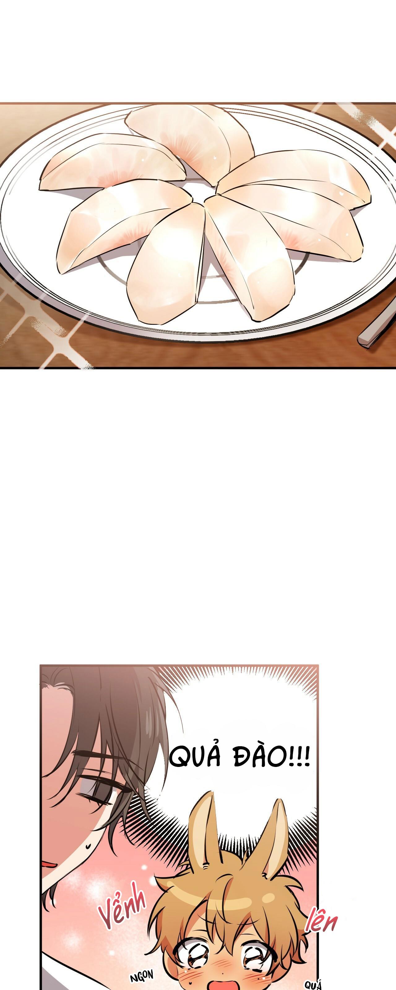 những chú thỏ của hapypy chapter 40 20