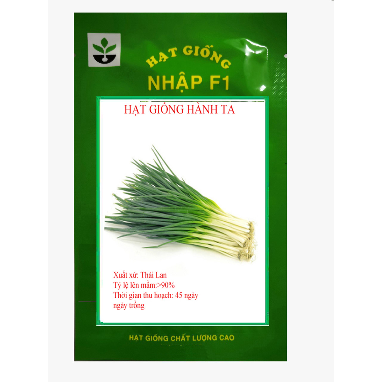 Gói 5 gram hạt giống hành hương