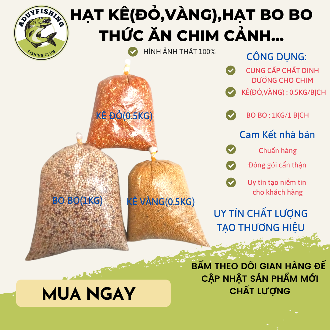 Hạt Kê Vàng, Kê Đỏ,Hạt Bo Bo thức ăn cho chim cảnh ( cu gáy, yến phụng...)