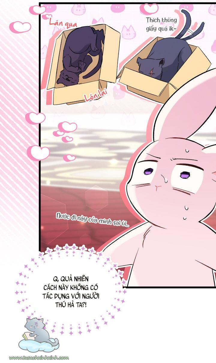 quan hệ cộng sinh giữa báo đen và thỏ trắng chapter 56 34