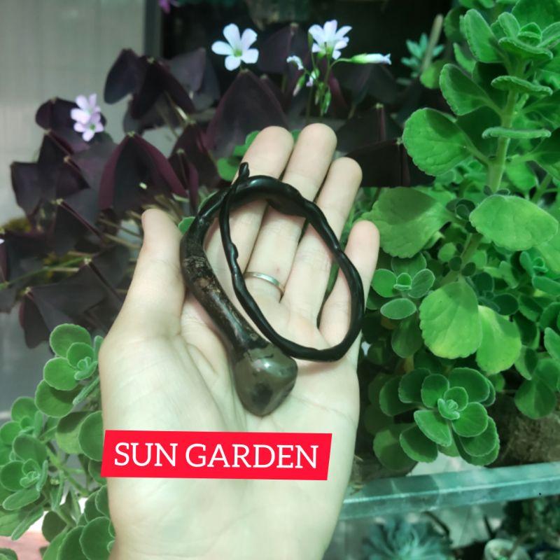 Vòng tay san hô đen nguyên bản độc đáo unisex
