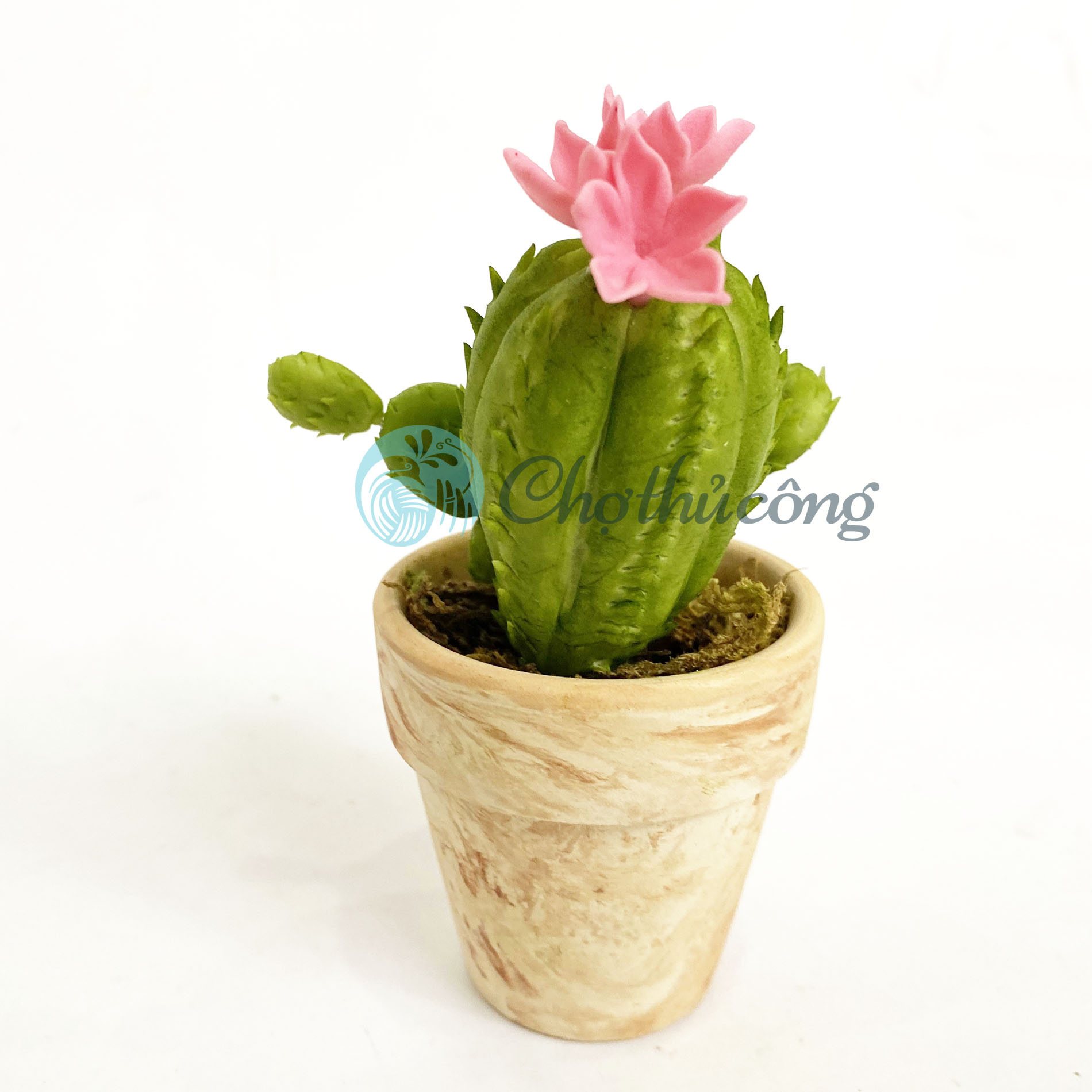 Chậu xương rồng mini giả decor - hoa đất sét Nhật thái, chậu cây mini handmade để bàn trang trí