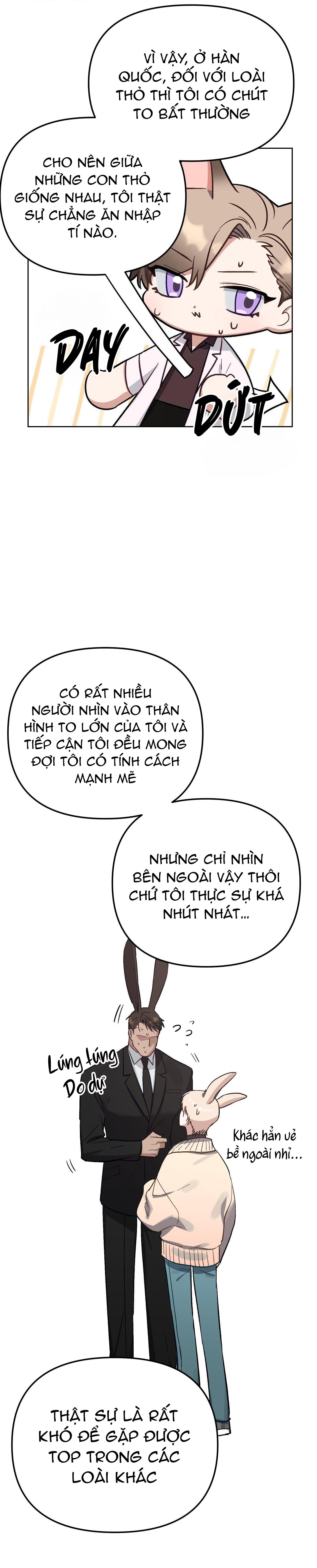 chú thỏ chỉ cần 3 giây là xuất tinh chapter 2 41