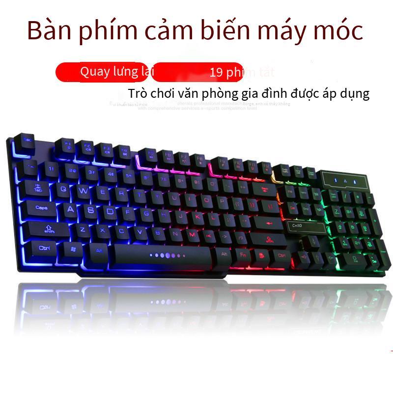 Phong cách mới nhất Ruyi bird trò chơi có đèn nền máy tính để bàn tại nhà phát quang người thao túng máy tính xách tay bên ngoài USB bàn phím có dây