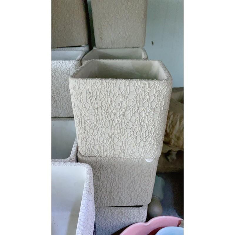 Chậu Trồng Cây 11x11Cm