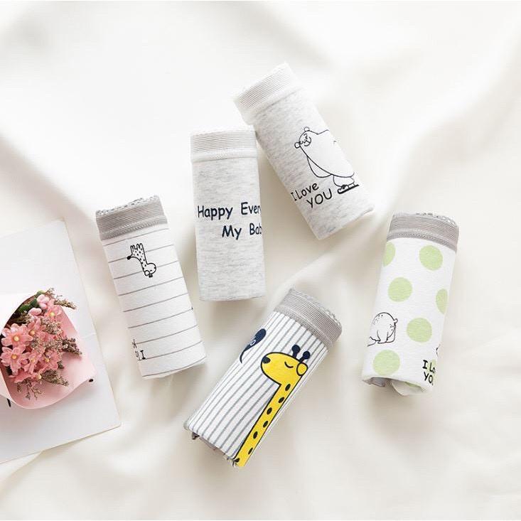 Sét 5 Quần Lót Cotton