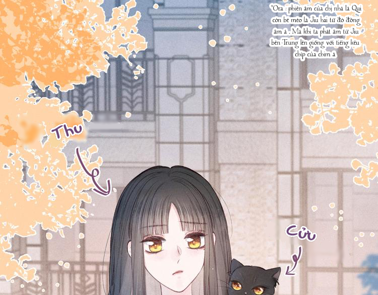 nỗi buồn của hoa cẩm tú cầu chapter 51 44