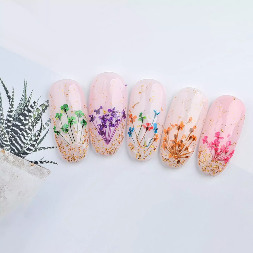 Set Hoa Khô Trang Trí Nail Hỗn Hợp Khay Tròn Đa Dạng Kiểu Dáng kích thước, Đính, Có Thể Kết Hợp Nhiều Phong Cách Ý Tưởng Khác Nhau
