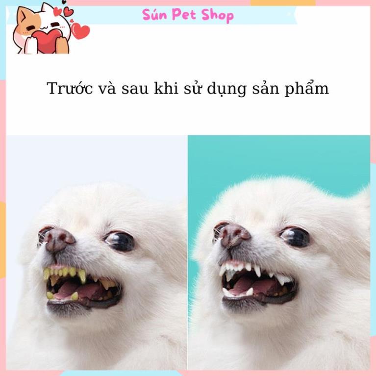 Xịt thơm miệng cho chó mèo Borammy 100ml