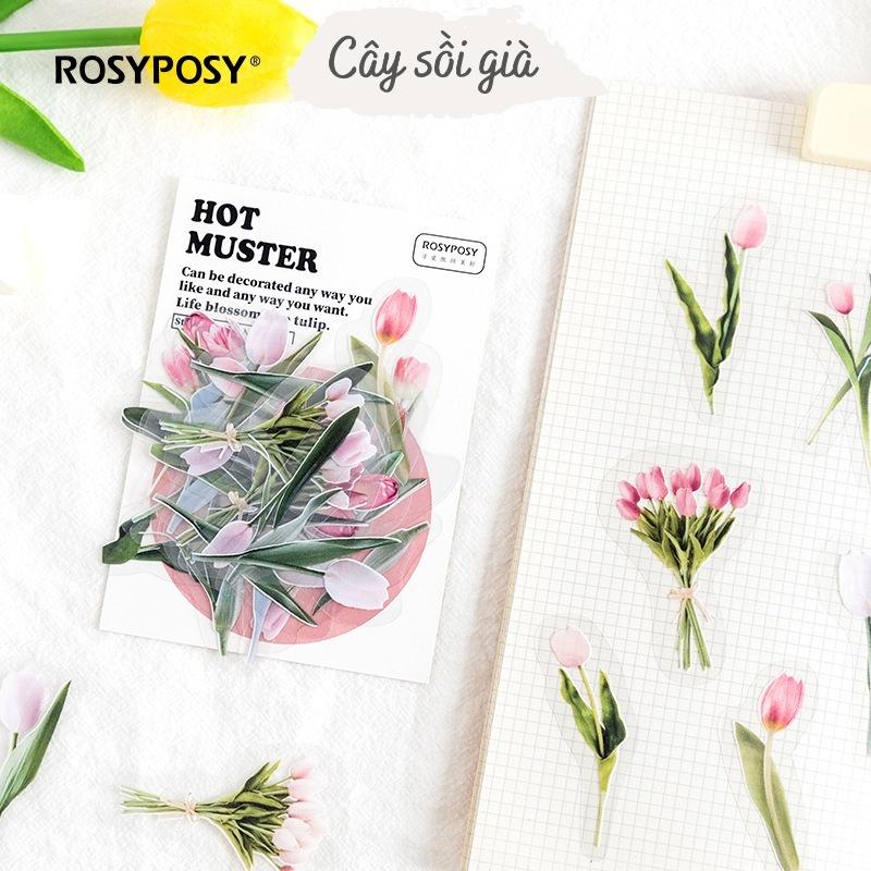 S13 - Set 20 miếng sticker PET đa dạng chủ đề RosyPosy trang trí sổ bullet journal, junk journal