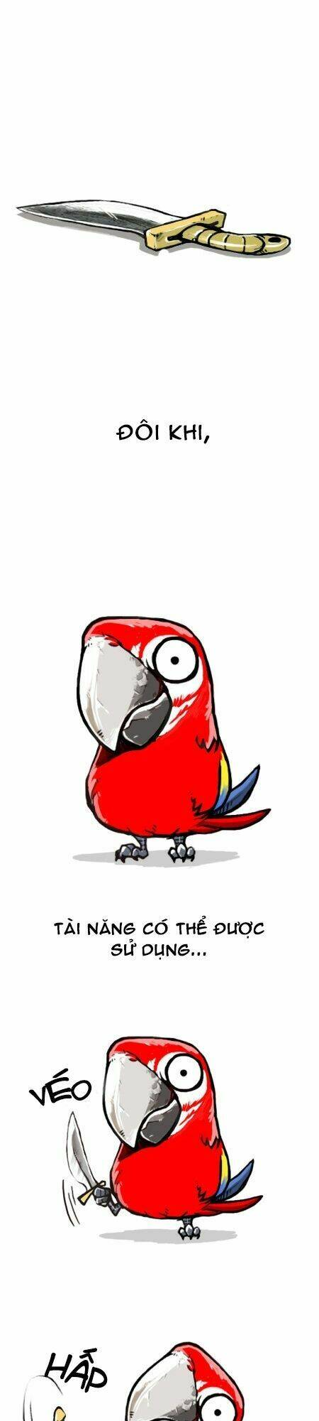 earth, human, and animal chapter 11 2