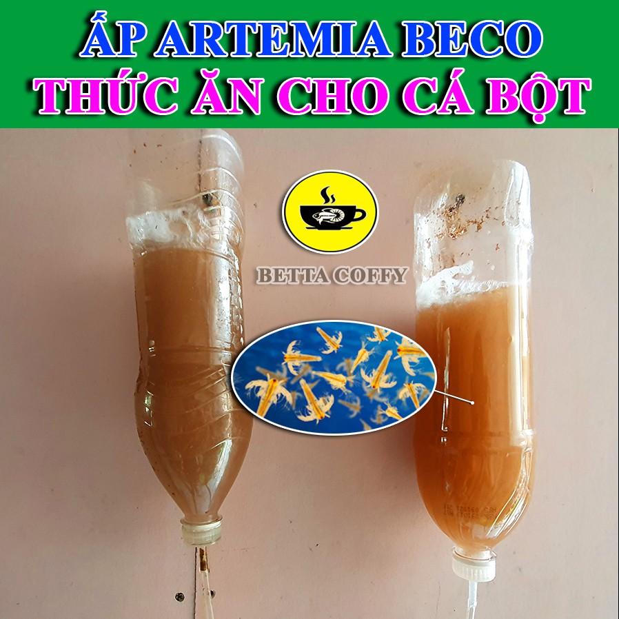 Bộ ấp Artemia Tặng 2 ống trữ Artemia BETTA COFFY ️