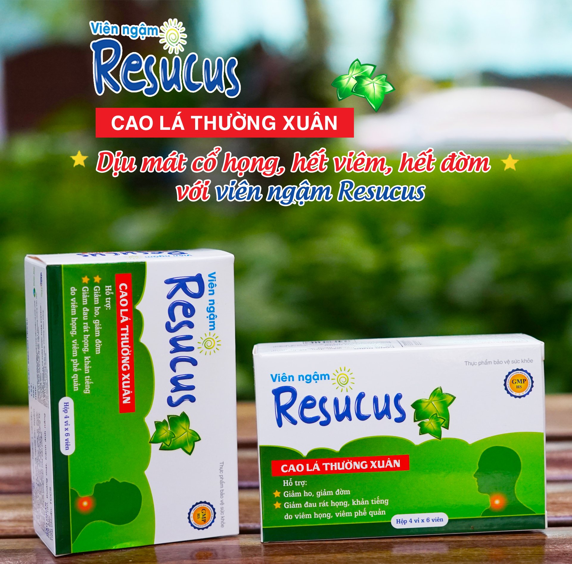 Viên ngậm giảm ho, đờm, đau rát họng do viêm họng, viêm phế quản - RESUCUS - Hộp 24 viên