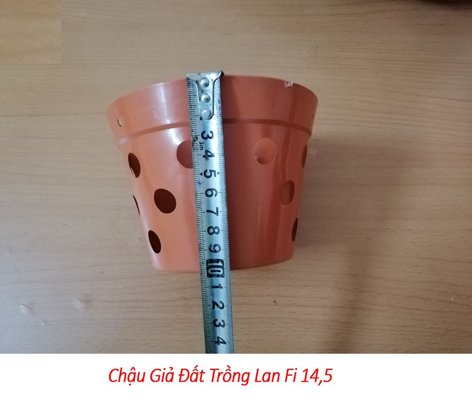 100 chậu giả đất trồng lan Fi 14.5 - đường kính 14.5cm