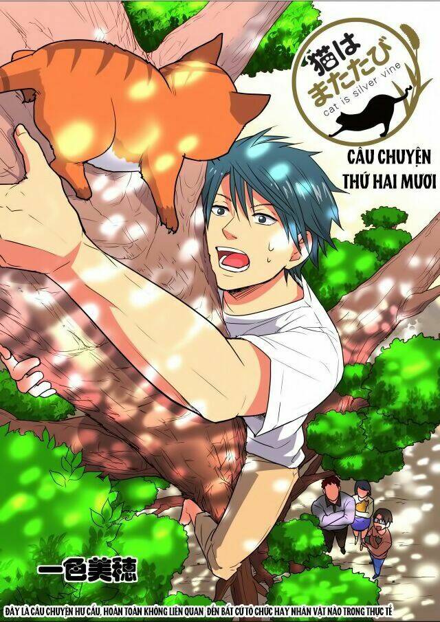 cat is silver vine chapter 20 1