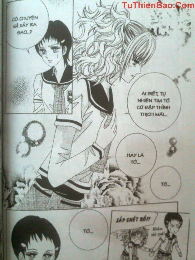 tình trong mộng chapter 4 113