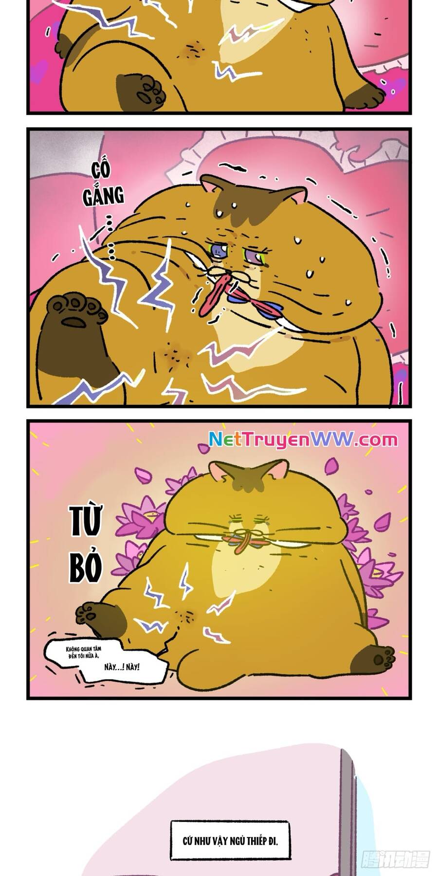 a mãn và mạch trà chapter 182 9