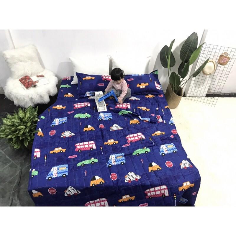 Bộ ga gối chăn trần hè cotton poly 1m6x2m