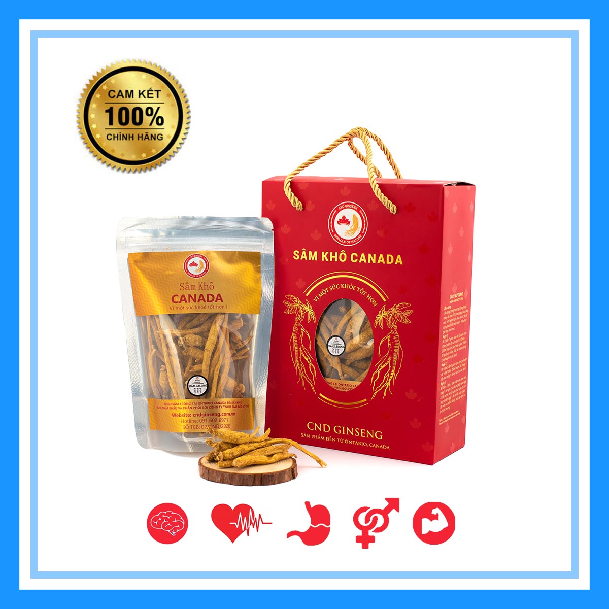 Nhân Sâm Canada - Sâm Khô Nguyên Củ - Nhỏ & Dài