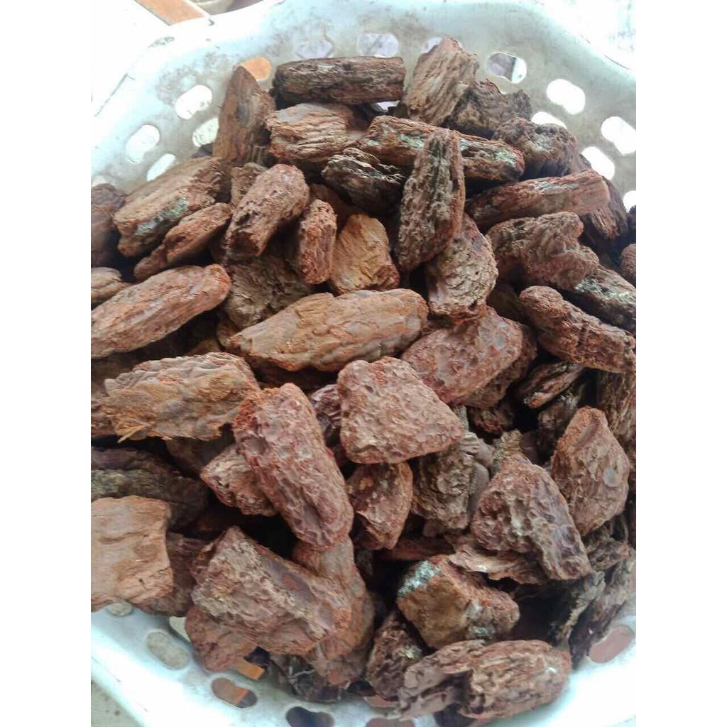 Vỏ thông trồng lan đánh tròn đầu, hàng đẹp size 3-4 cm 1kg