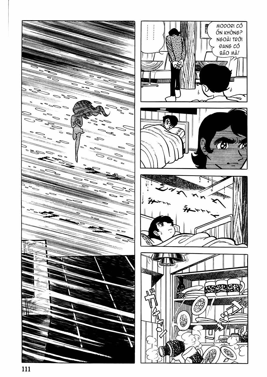 the crater chapter 14 15