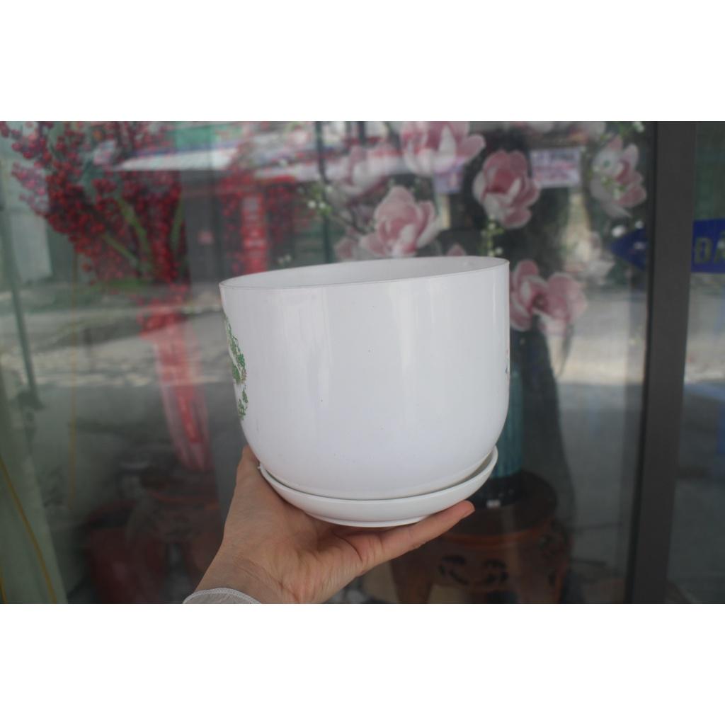 Chậu nhựa đĩa 17*17*16cm trồng hoa- cây cảnh