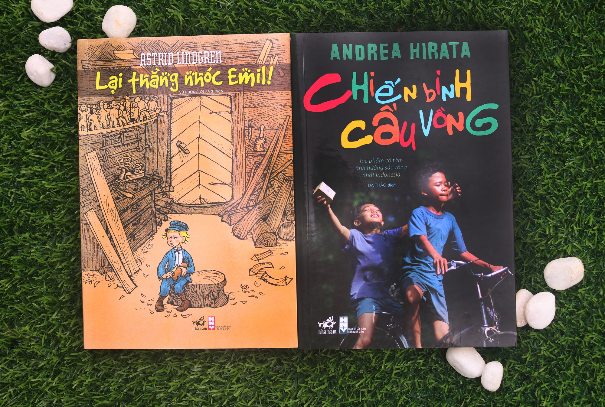 Sách: Chiến Binh Cầu Vồng-Lại Thằng Nhóc Emil