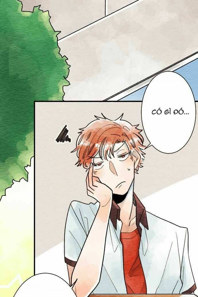 koe koi chapter 11 13