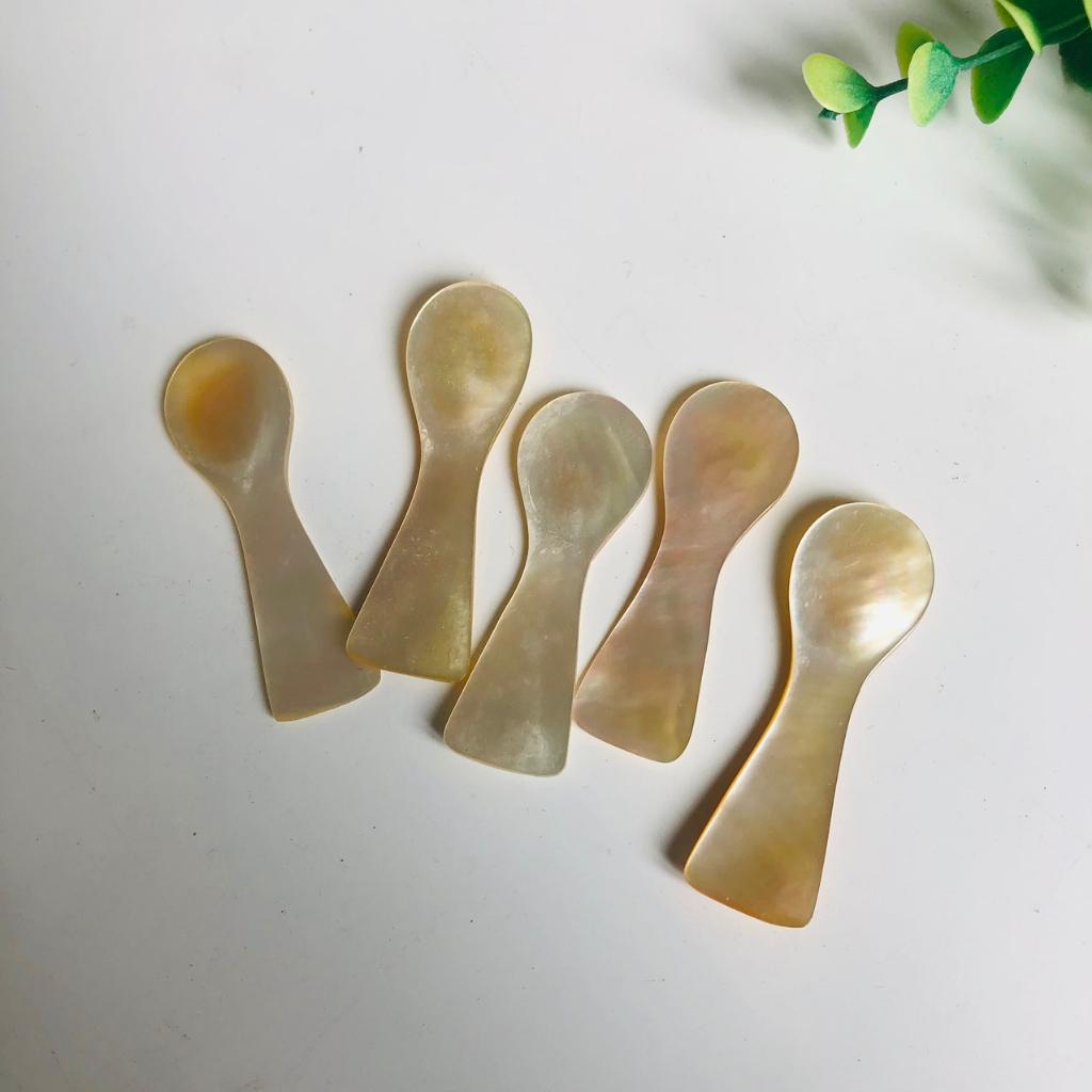 Thìa/Muỗng Trai Mini Size Nhỏ Xinh, Thìa Xúc Trứng Cá Hồi, Thìa Gia Vị, Nêm, Chụp Ảnh Decor Sang Trọng