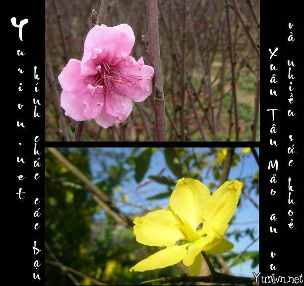 flower flower chapter 11 28