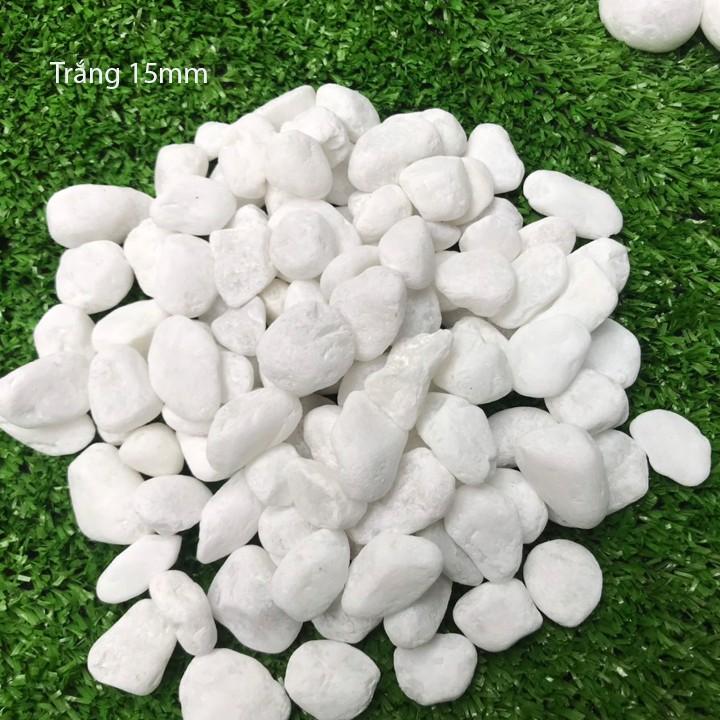 1kg sỏi bể cá - sỏi hồ cá