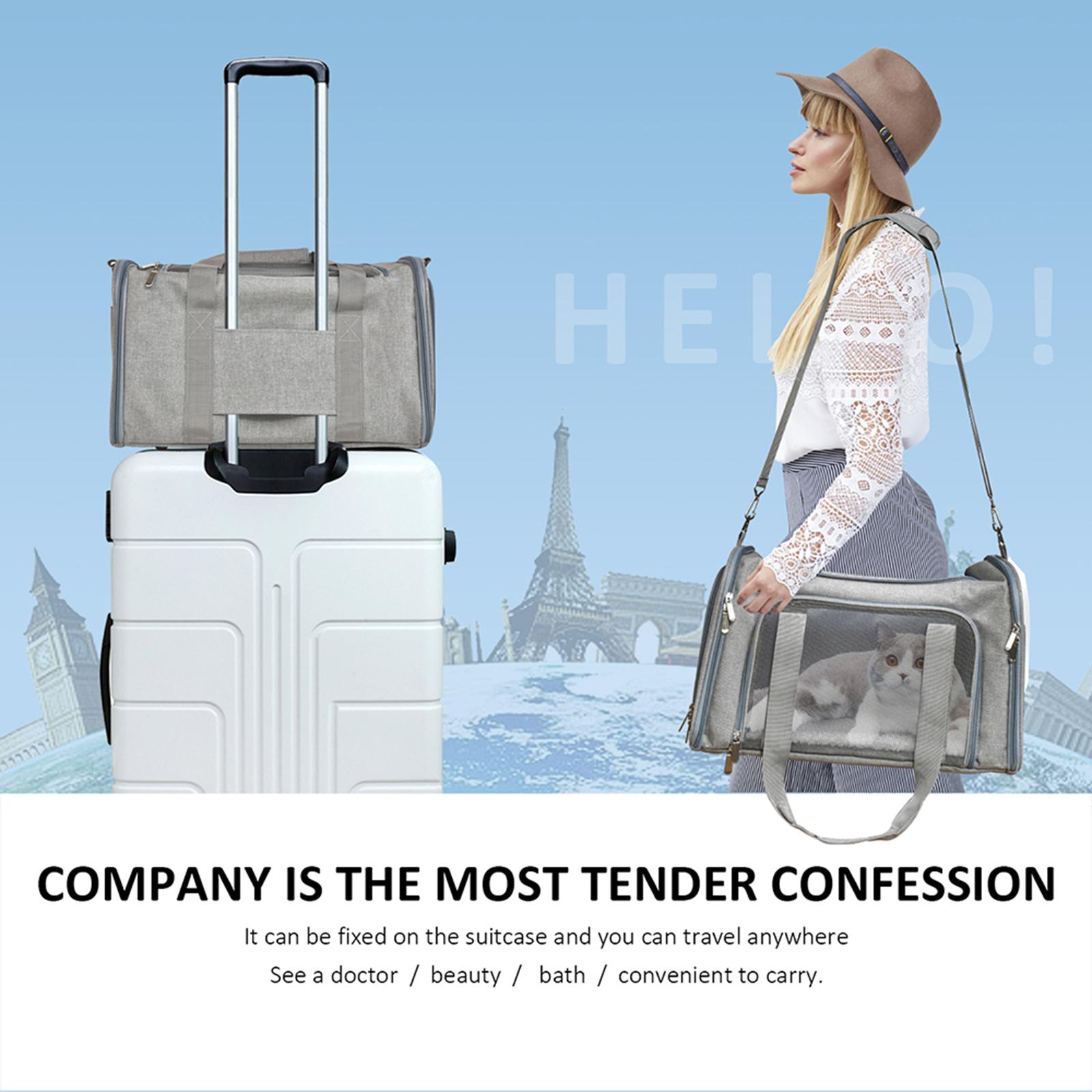 Soft PVC Pet Dog Carrier Backpack w/ Handles Pet Carrying Box Travel Bag w/ Washable Cozy Bed Folding for Puppy Cat Rabbit Escape Proof Breathable