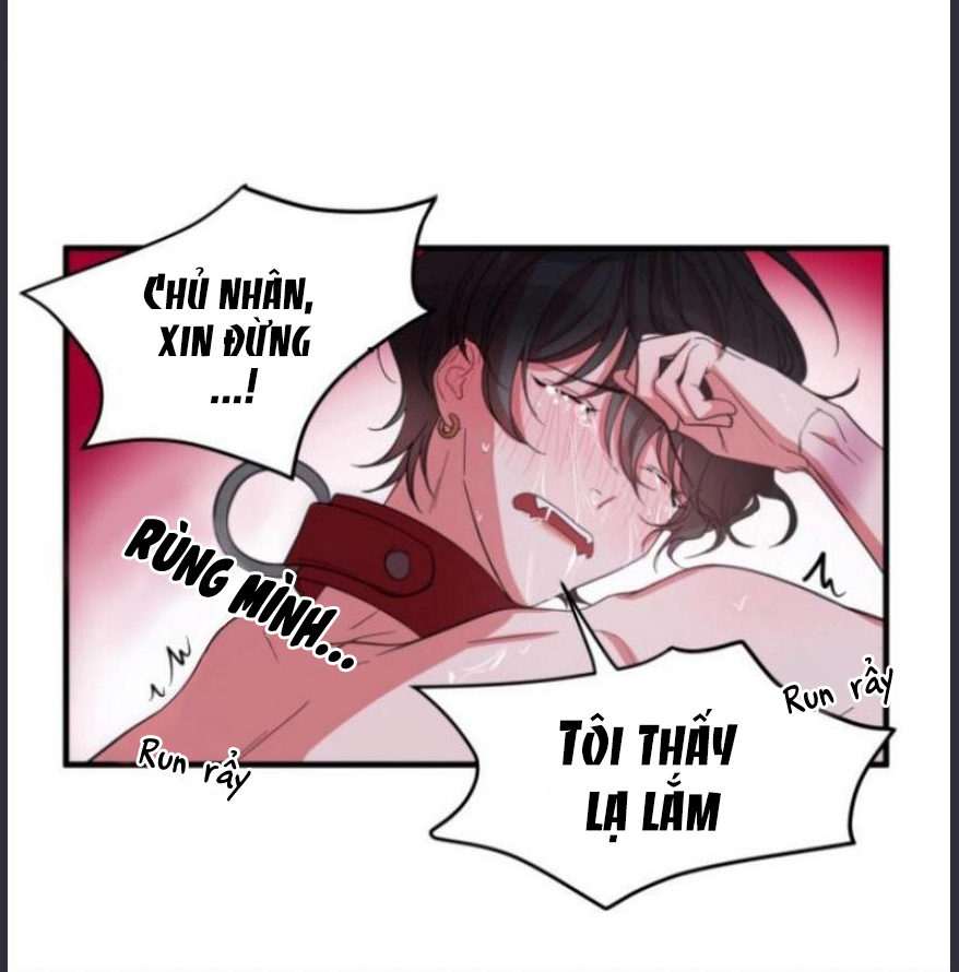 xu hướng tình dục bạn học chapter 5 37