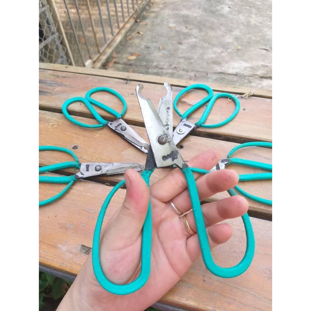 Kéo Khoanh Vỏ Chiết Cành Cây Ăn Quả, Hoa Hồng, Lưỡi Mịn
