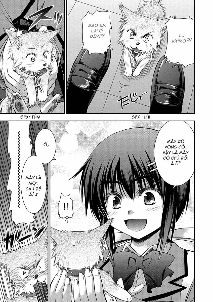 perowan! - hayaku shinasai! goshujin-sama chapter 4 15