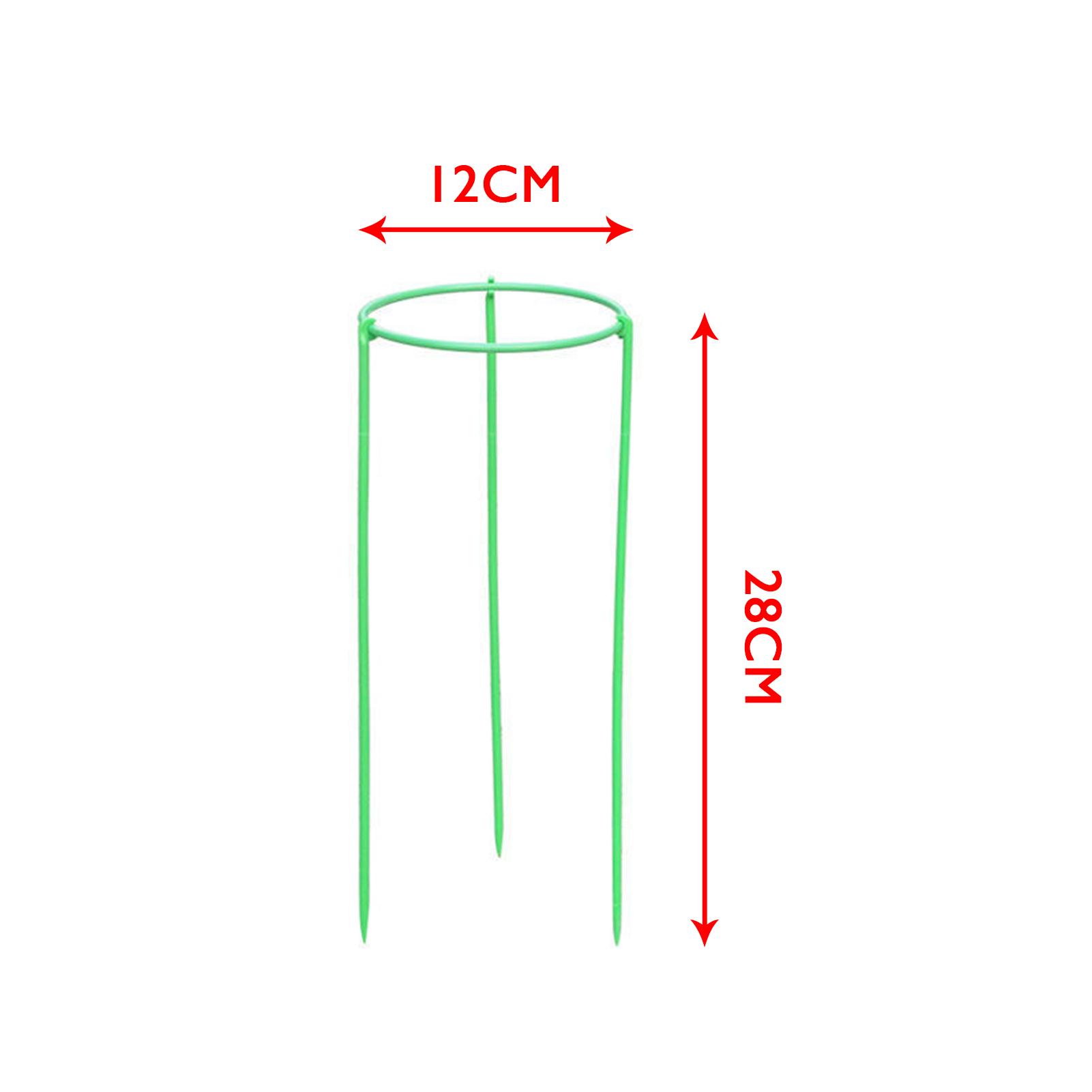 Khung Cọc Hỗ Trợ Trồng Cây Dây Leo Gọn Gàng Tiện Dụng