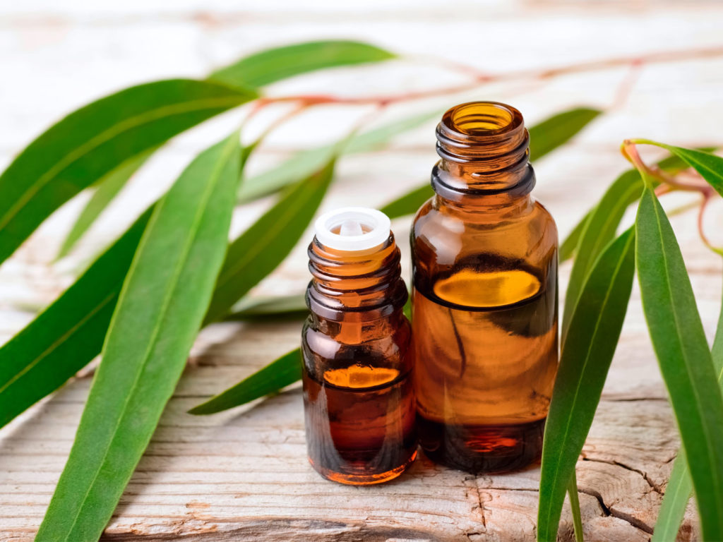 Tinh dầu Khuynh Diệp nguyên chất 100% từ thiên nhiên - KingOil