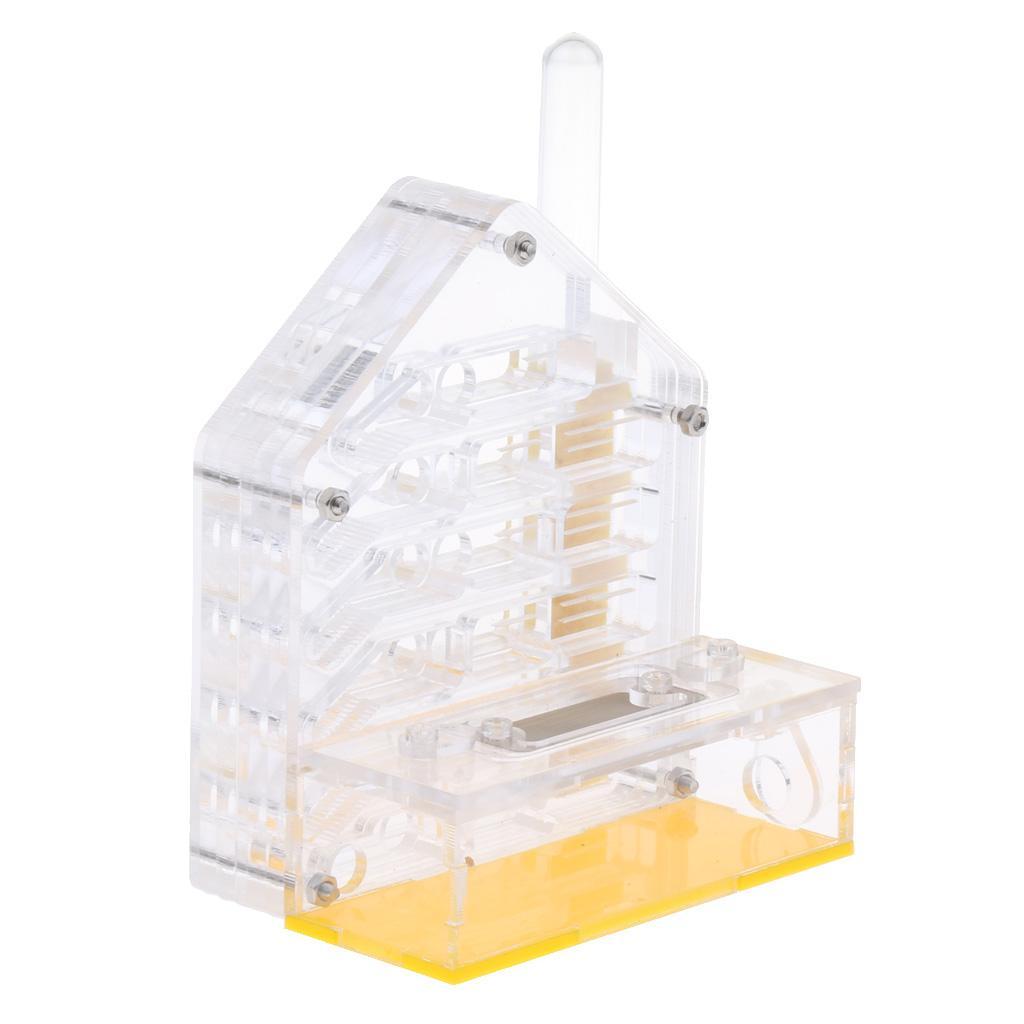 Clear Insect Ant Housing Acrylic Nest Ants Feed Farm Formicarium Box