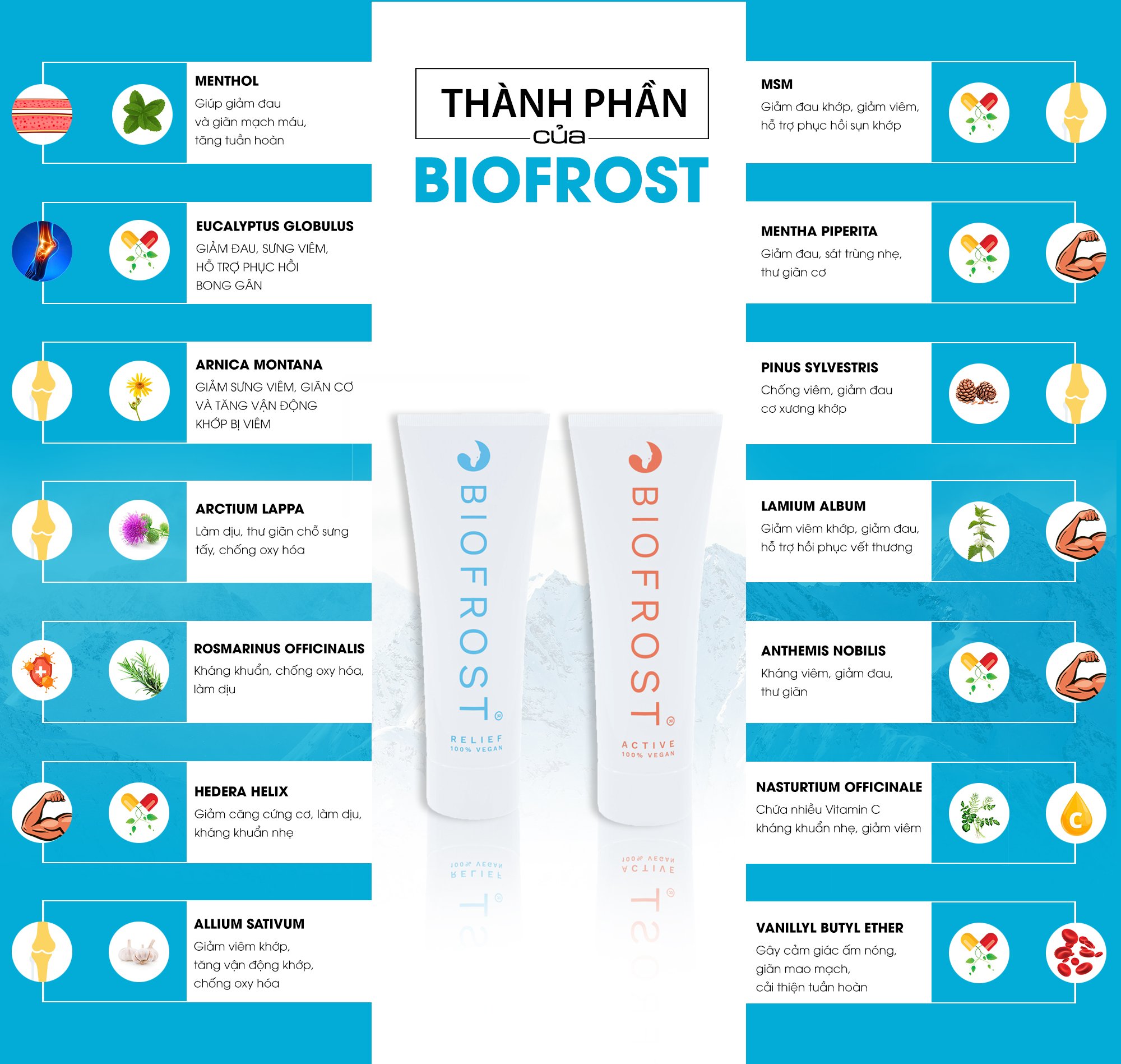 COMBO 2 GEL GIẢM ĐAU TÁC ĐỘNG KÉP BIOFROST ACTIVE - AN TOÀN HIỆU QUẢ