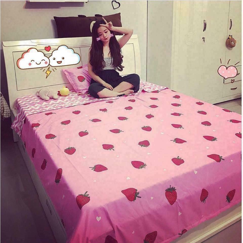 BỘ CHĂN GA POLY CAO CẤP