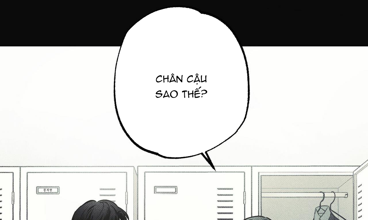 chàng giao pizza và gold palace chapter 26 37